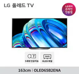 LG 올레드 OLED TV OLED65B2ENA 163cm G-SYNC, 스탠드형