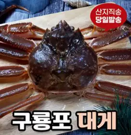 [당일발송] 영덕대게 생물 자숙 포항 구룡포 국내산, 5.영덕대게 중 (9.6~9.9cm) 5미