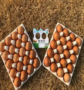유나계란 농장 직배송 특란(무항생제), 40개, 2400g이상