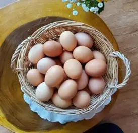 [연호농장] 무항생제 HACCP 인증 생계란 신선특란 30구, 2개