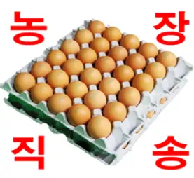 [아리찬늘] 난각1 자연방사 동물복지 유정란 (당일 낳은 달걀/HACCP인증/동물복지인증/무항생제인증), 1개, 40구