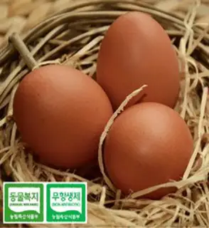 [묵동농장]무항생제 HACCP인증 바른계란 특란 60구, 30구, 2개