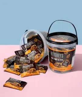 허쉬 초콜릿칩 쿠키 통, 2개, 400g