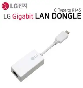 LG전자 gram 노트북 랜동글 이더넷 랜젠더 C타입, 1개