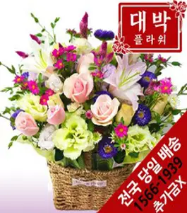 개업화분 개업화분당일배송 금전수 개업꽃배달당일배송 승진스투키 행운목개업 스투키배송 개업축하화분 소형 탁상용 사무실 카페 승진 축하 배달 취임 식당 저렴한 당일배송, 1.금전수, 1개, 직접배송서울/구리/하남/성남/과천/안양/의왕/군포/광명