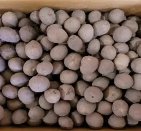 23년 남해 하동 진주 햇 홍감자 최상품, 5kg(중소사이즈), 1개