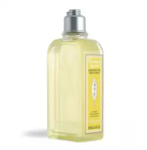 록시땅 시트러스 버베나 샴푸 버베나향, 250ml, 1개