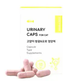 [본아페티] 유리나리캡스포캣 고양이영양제 캡슐 60정