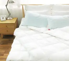아이리스 데니카 올리비아 구스이불솜, 화이트