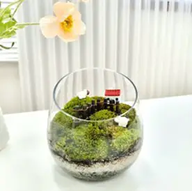 만나앤미 비단 이끼 테라리움 DIY 키트 양치는언덕 미니어쳐 랜덤발송, 1개