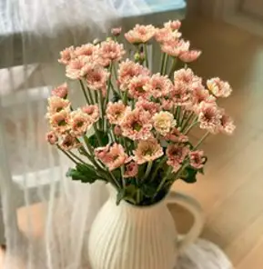 직접 재배한 가을소국 핑키랑 소국 생화 태안꽃농장 생화택배 필랑말랑