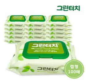 그린터치 물티슈 캡형, 100개입, 30개