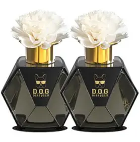 도그독 차량용디퓨저 200ml [1+1세트], 1세트, 화이트코튼