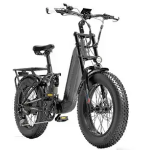 랑케레이시 X.3000 plus 1000W 접이식 전기자전거 17.5Ah 20인치 팻바이크, 15Ah, 그레이