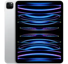 아이패드 프로 4세대 12.9인치 WiFi/LTE 셀룰러 정품, 그레이, 256GB, Wi-Fi