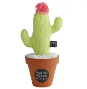 삭스플리즈 공기정화 선인장 양말인형 DIY 만들기, OLIVE GREEN, 1개
