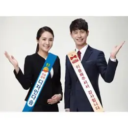 어깨띠 주문 제작 - 대형 부직포 선거 홍보용 교회 캠페인 행사 생일 미스코리아, 10×180cm