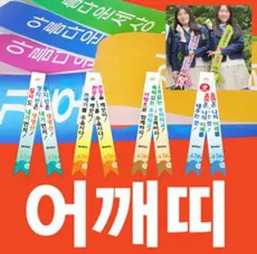 이지디자인 어깨띠, 중간사이즈, 1개