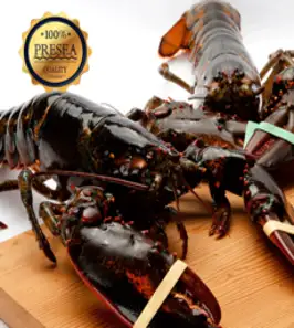 홍반장 캐나다 활 랍스터 500g~3.1kg 항공직송 직판, 1마리, 랍스터 700g (660~770g)