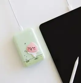 카카오프렌즈 힙스터 도킹형 보조배터리 5000mAh C타입, P23-DKPB5K-C, 라이언