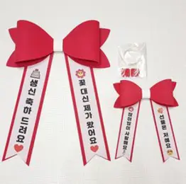 라이뚜뚜 아기화환 체크띠 인간화환 생일이벤트 자유문구, 1개, 핑크