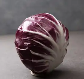 라디치오 1개 이탈리안치커리 Radicchio, 250g