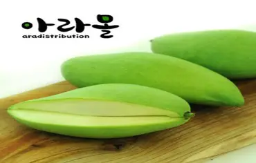 아라몰 태국 그린망고 (Thailand Green Mango), 1박스, 1kg (3-4과)