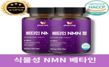 플러스영 식물성 NMN 베타인 브로콜리 추출 600mg, 2개, 60정