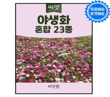 야생화 씨앗 꽃씨 혼합23종 (100g), 1개